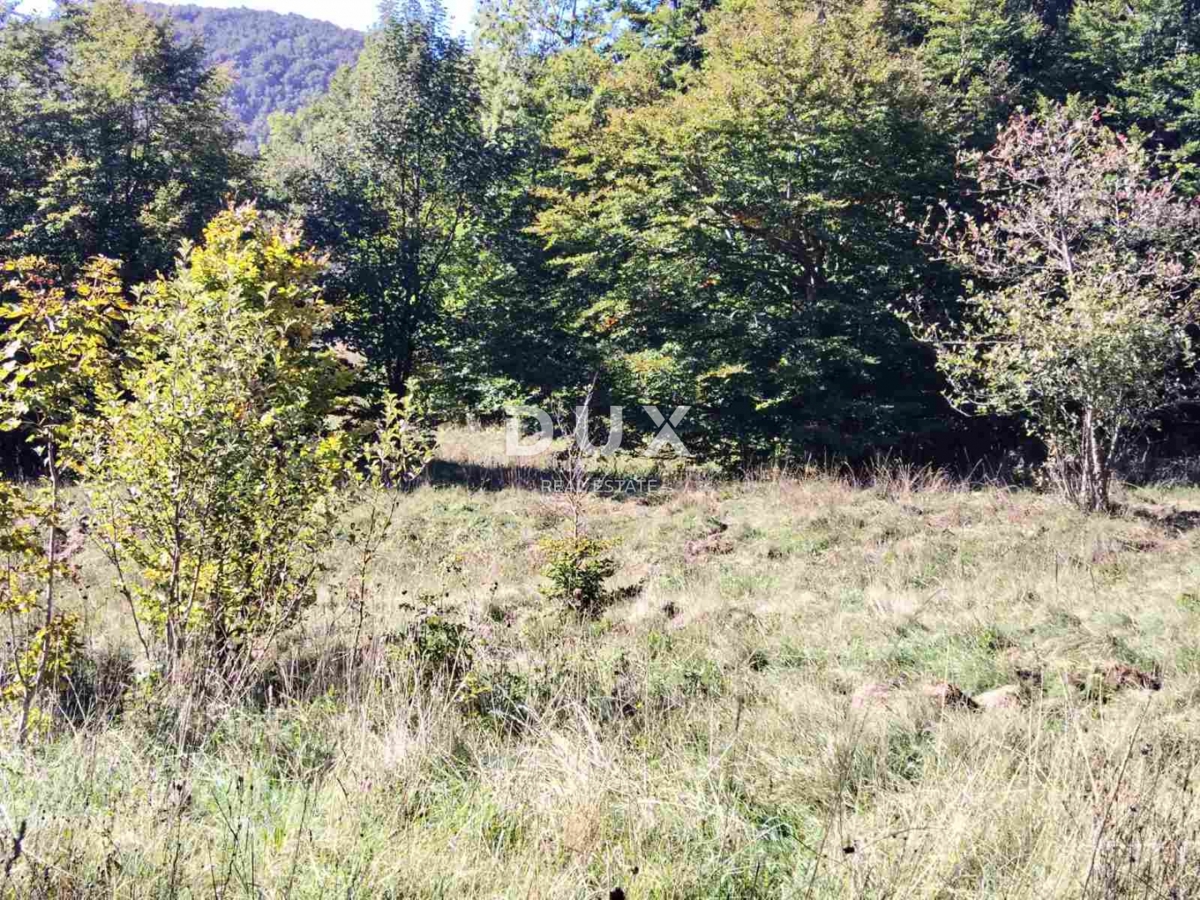 ZLOBIN - veliko kmetijsko zemljišče
