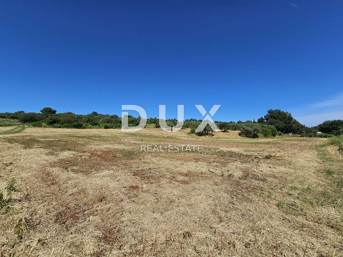 ISTRA, POMER - Urejeno gradbeno zemljišče s pogledom na morje, idealno za gradnjo vile/hiše/družinske hiše