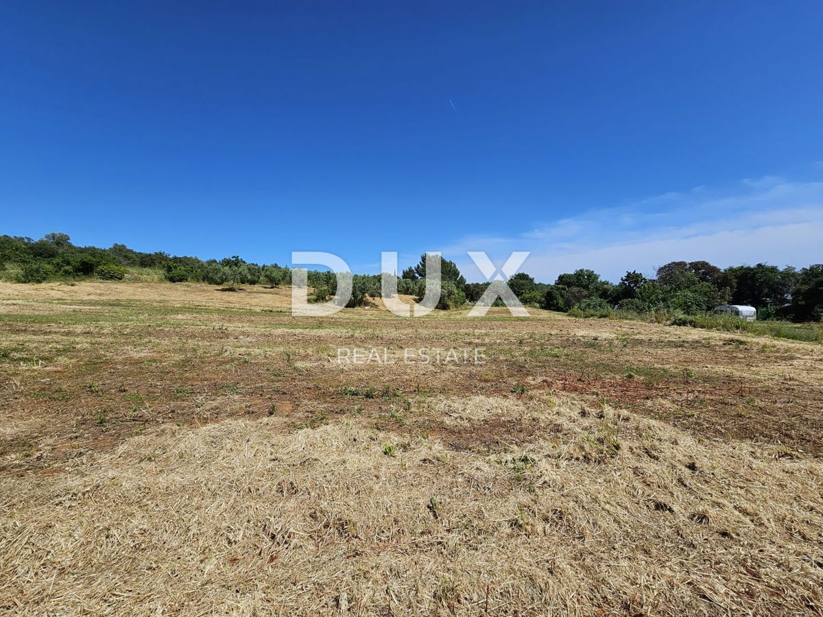 ISTRA, POMER - Urejeno gradbeno zemljišče s pogledom na morje, idealno za gradnjo vile/hiše/družinske hiše