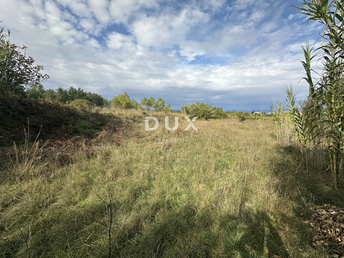 ZADAR, PRIVLAKA - Zazidljivo zemljišče 150 metrov od morja!