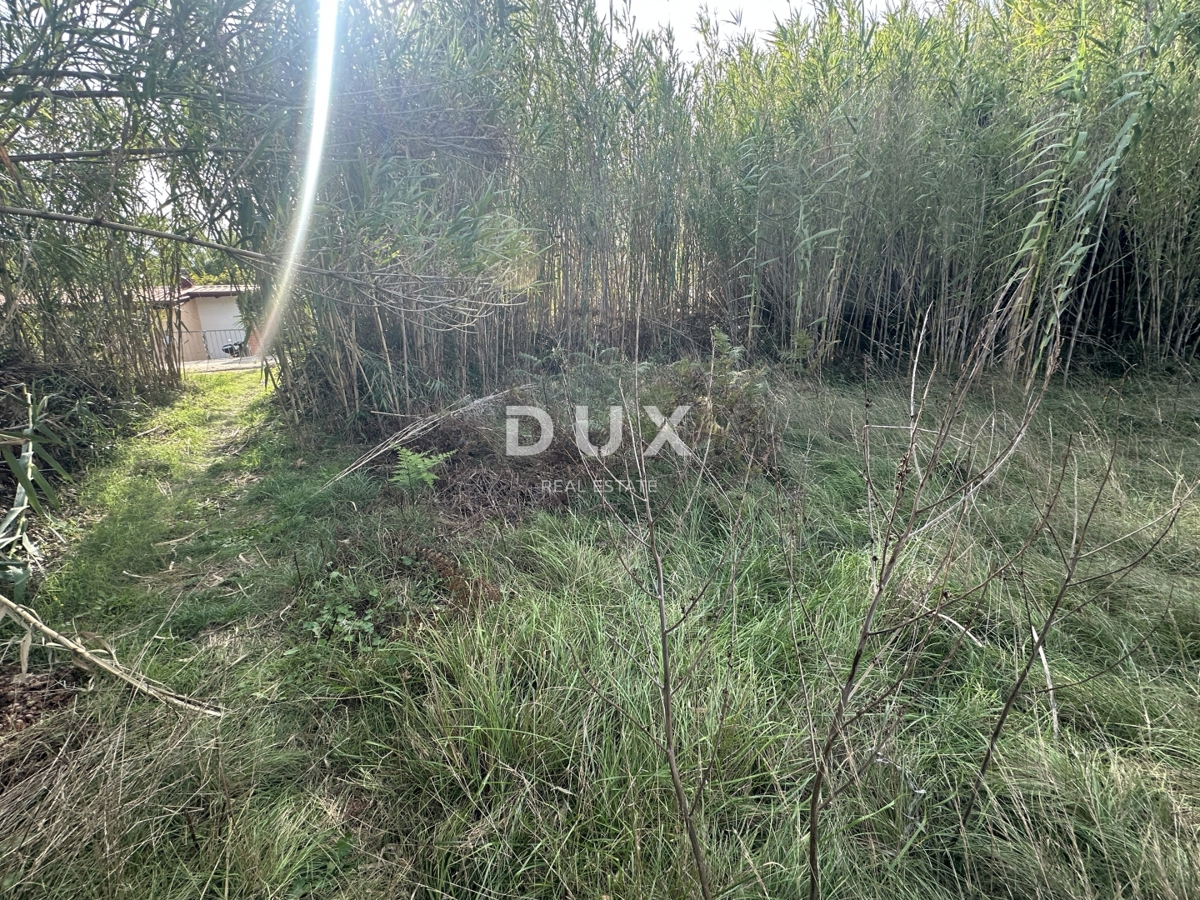 ZADAR, PRIVLAKA - Zazidljivo zemljišče 150 metrov od morja!