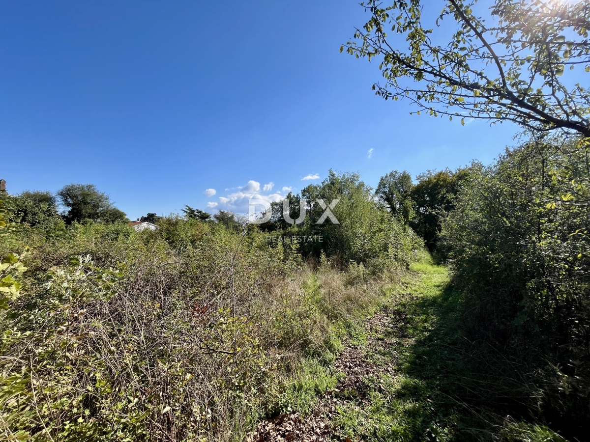 RIJEKA, MARTINKOVAC - Privlačno zemljišče za gradnjo, idealno za investitorje