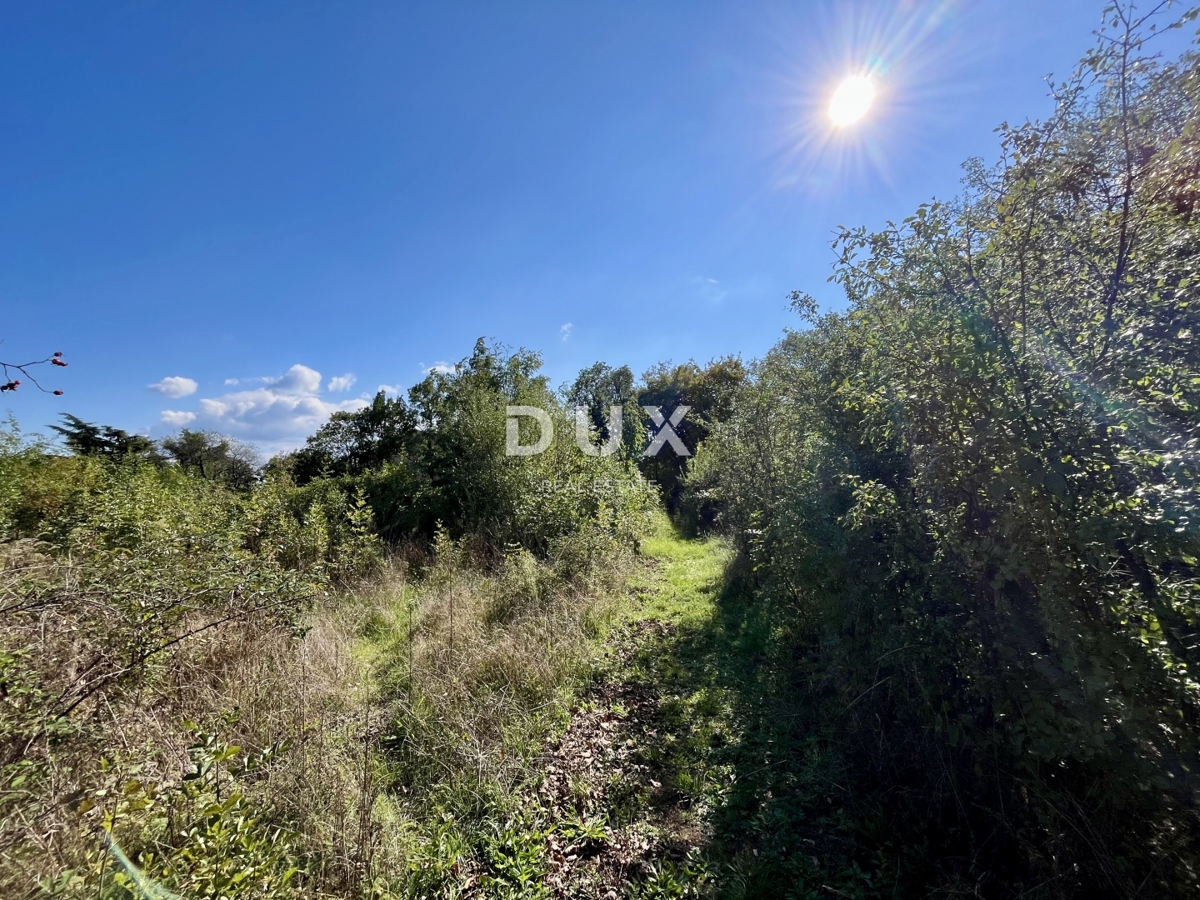 RIJEKA, MARTINKOVAC - Privlačno zemljišče za gradnjo, idealno za investitorje