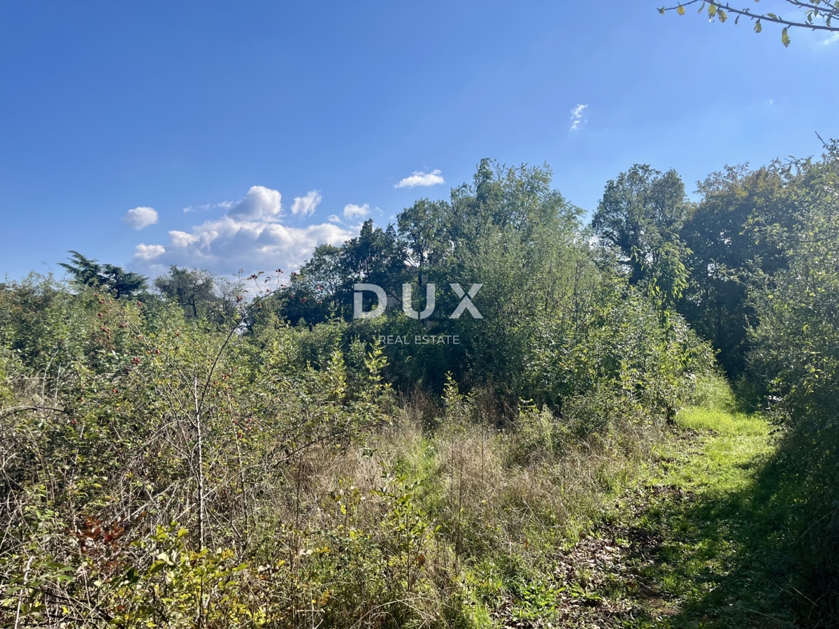 RIJEKA, MARTINKOVAC - Privlačno zemljišče za gradnjo, idealno za investitorje