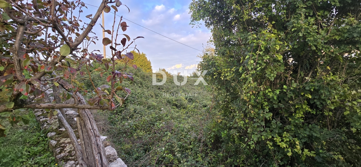 ISTRA, GRAČIŠĆE - Kmetijsko zemljišče, 511 m2