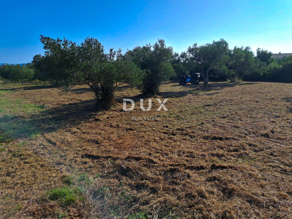 OTOK PAŠMAN, KRAJ - Pravilno gradbeno zemljišče 200 m od morja