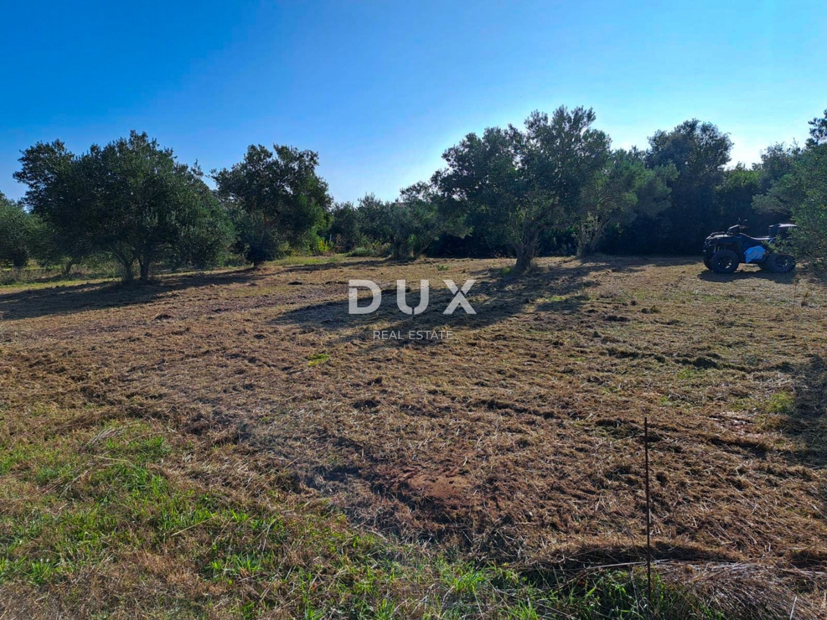 OTOK PAŠMAN, KRAJ - Pravilno gradbeno zemljišče 200 m od morja