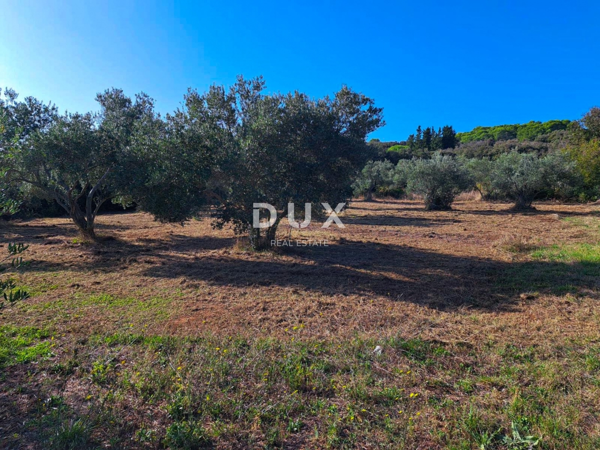 OTOK PAŠMAN, KRAJ - Pravilno gradbeno zemljišče 200 m od morja