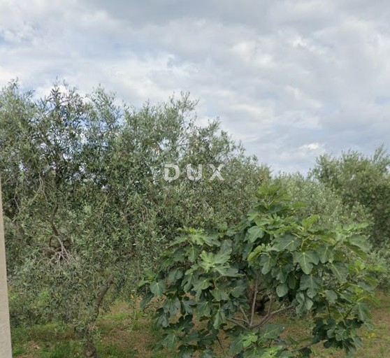 Zemljišče Brzac, Krk, 517m2