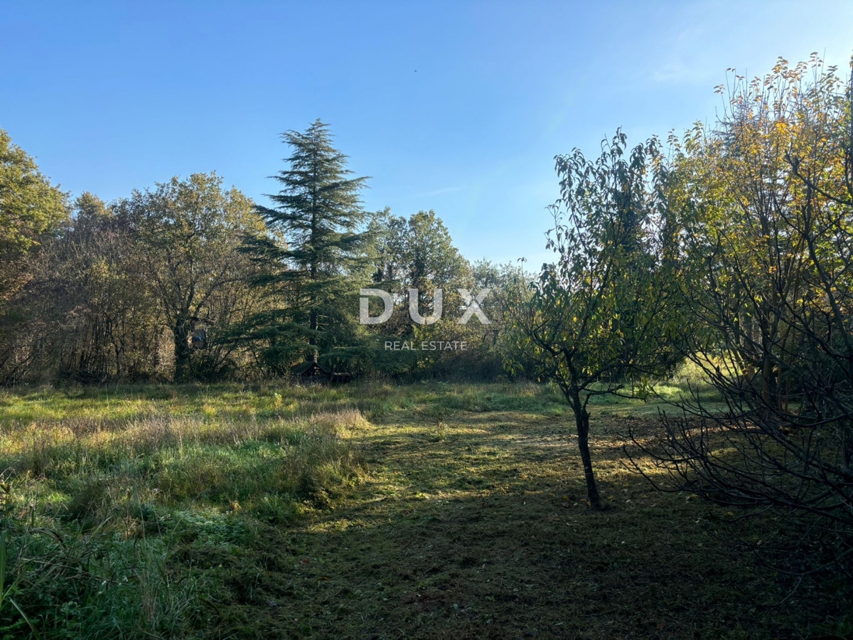 ISTRA, POREČ (OKOLICA) - Prostorna hiša z dvema velikima stanovanjema in garažo + gradbeno zemljišče 1687m2! ŠIROK SPEKTAR MOŽNOSTI!