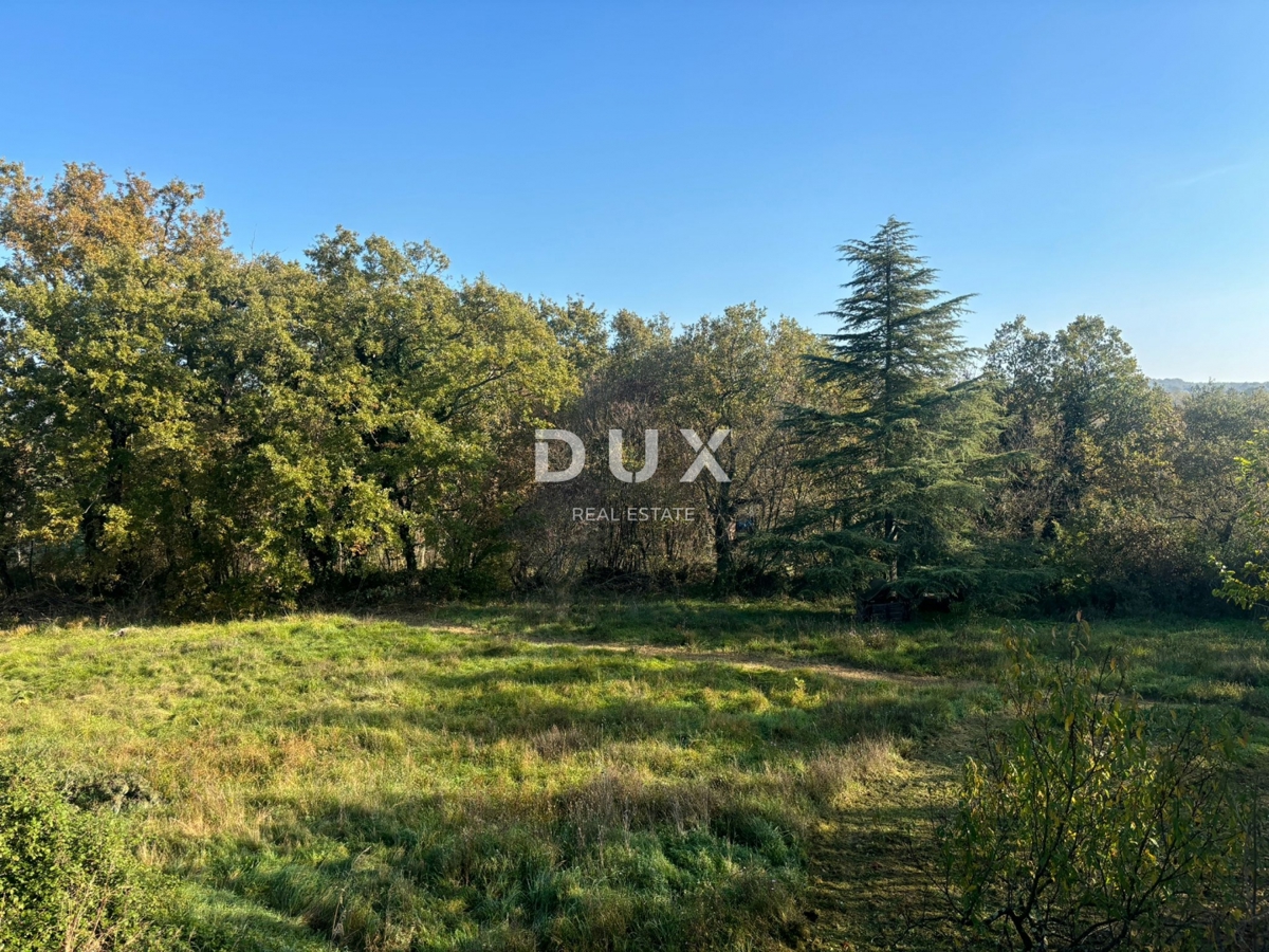 ISTRA, POREČ (OKOLICA) - Prostorna hiša z dvema velikima stanovanjema in garažo + gradbeno zemljišče 1687m2! ŠIROK SPEKTAR MOŽNOSTI!