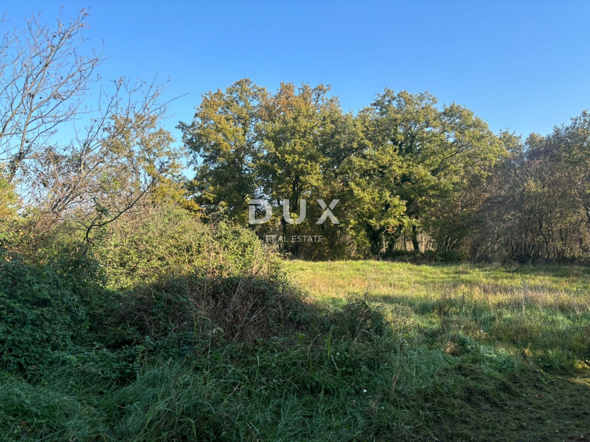 ISTRA, POREČ (OKOLICA) - Prostorna hiša z dvema velikima stanovanjema in garažo + gradbeno zemljišče 1687m2! ŠIROK SPEKTAR MOŽNOSTI!