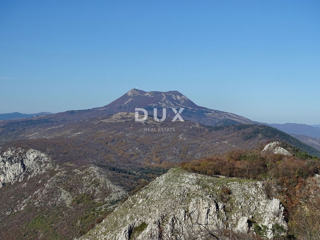 ISTRA, LUPOGLAV - kmetijsko zemljišče velikosti 100.000 m2 za razvoj različnih projektov, odlična investicijska priložnost