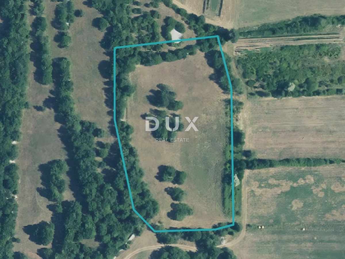 Zemljišče Labin, 11.866m2