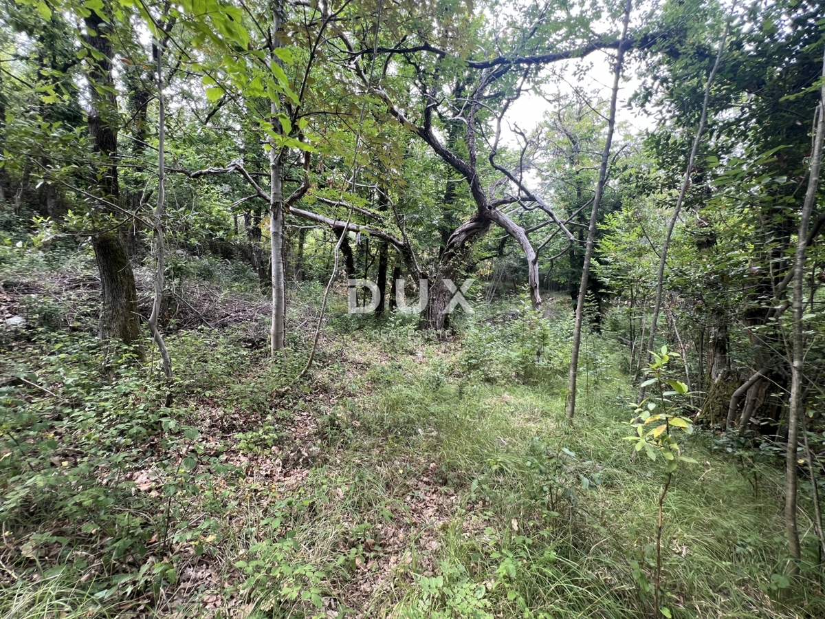 OPATIJA, MOŠČENIČKA DRAGA – rekonstrukcija objekta