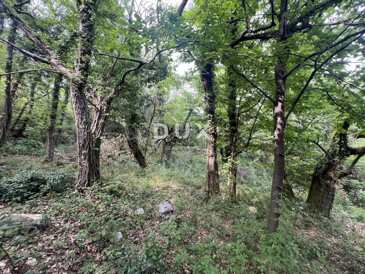 OPATIJA, MOŠČENIČKA DRAGA – rekonstrukcija objekta