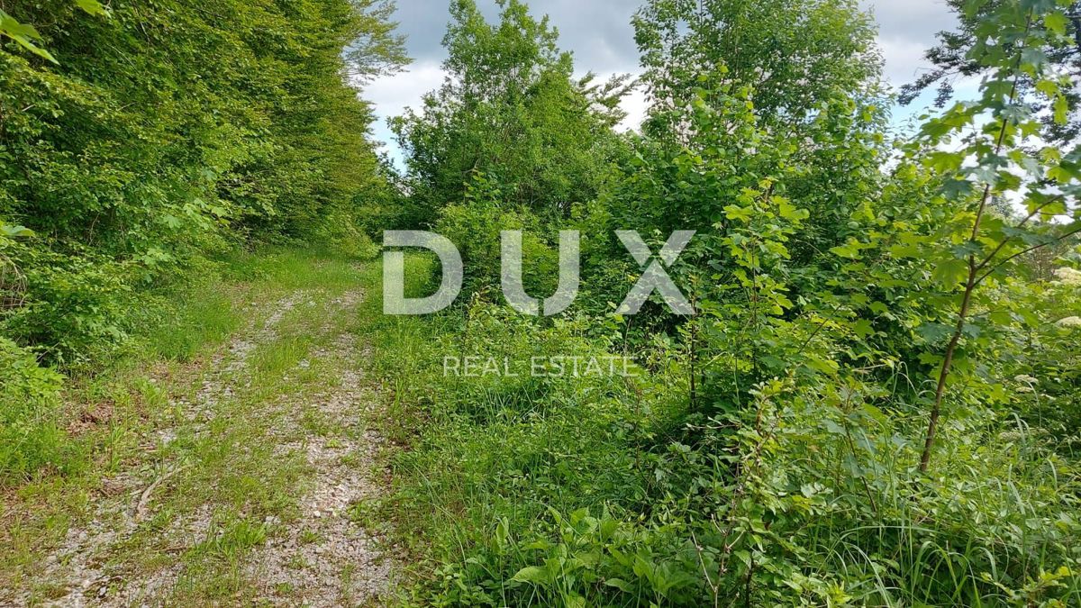 GORSKI KOTAR, FUŽINE - edinstven projekt v osrčju Gorskega Kotarja, zazidljivo zemljišče 10.700 m2 za kompleks vil v bližini jezera, investicijska priložnost!