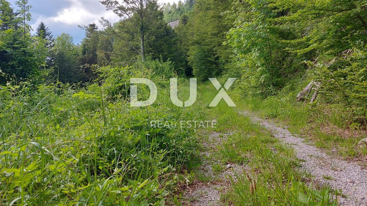 GORSKI KOTAR, FUŽINE - edinstven projekt v osrčju Gorskega Kotarja, zazidljivo zemljišče 10.700 m2 za kompleks vil v bližini jezera, investicijska priložnost!