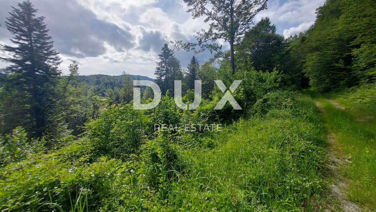 GORSKI KOTAR, FUŽINE - edinstven projekt v osrčju Gorskega Kotarja, zazidljivo zemljišče 10.700 m2 za kompleks vil v bližini jezera, investicijska priložnost!