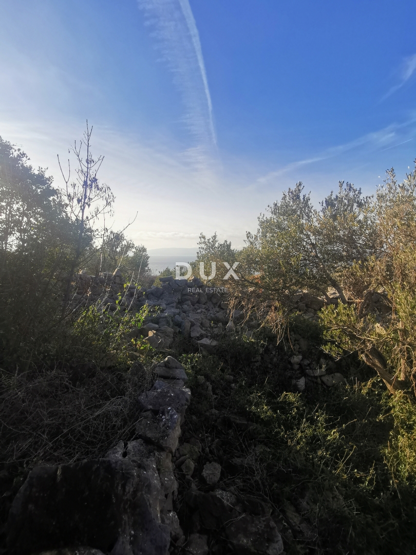 OTOK KRK, PUNAT - Kmetijska zemljišča