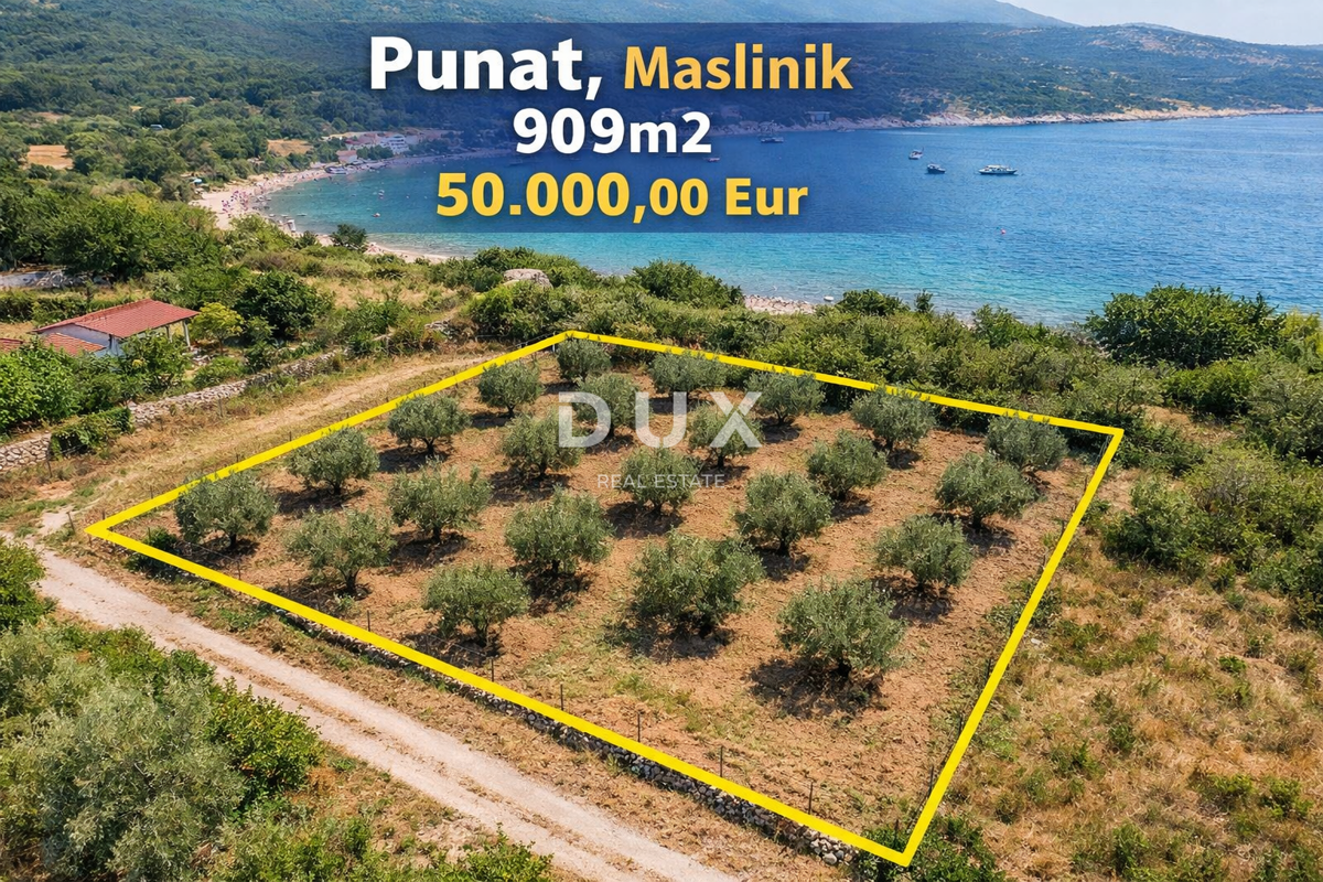 OTOK KRK, PUNAT - Kmetijska zemljišča