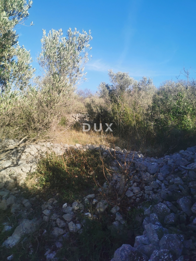 OTOK KRK, PUNAT - Kmetijska zemljišča