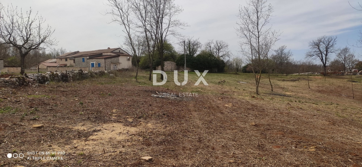 ISTRA, LINDAR - Gradbeno zemljišče obdano z naravo