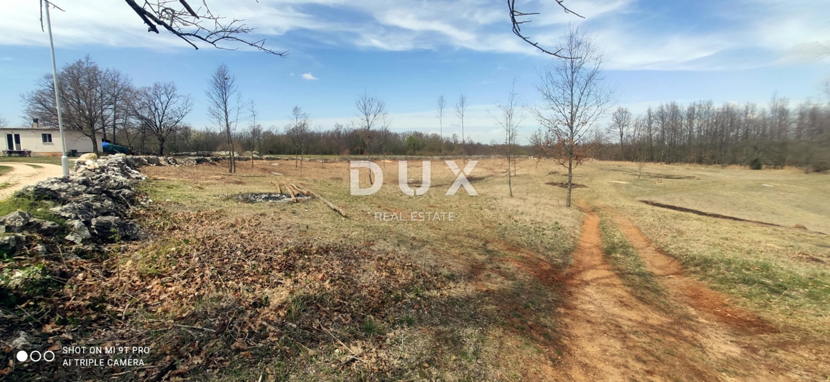 ISTRA, LINDAR - Gradbeno zemljišče obdano z naravo