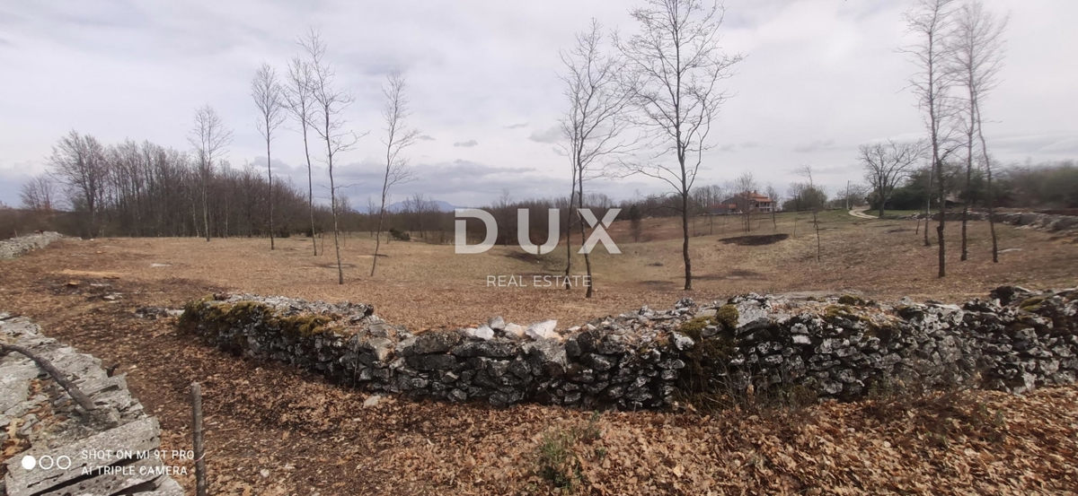 ISTRA, LINDAR - Gradbeno zemljišče obdano z naravo