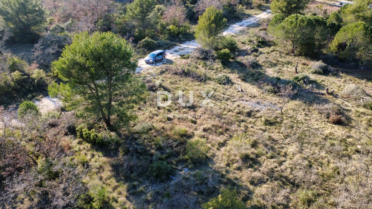 ZADAR, CRNO – Redna parcela 740 m² z dovozno cesto!