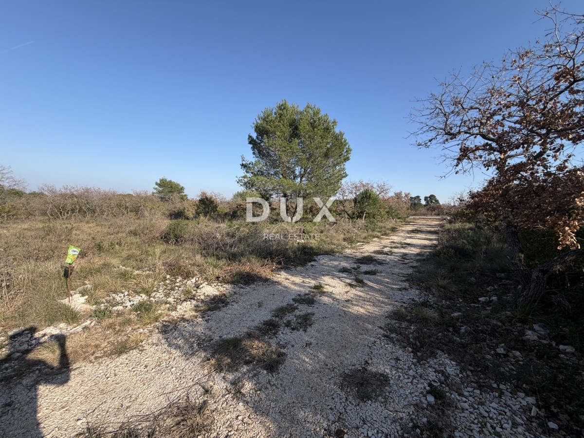 ZADAR, CRNO – Redna parcela 740 m² z dovozno cesto!