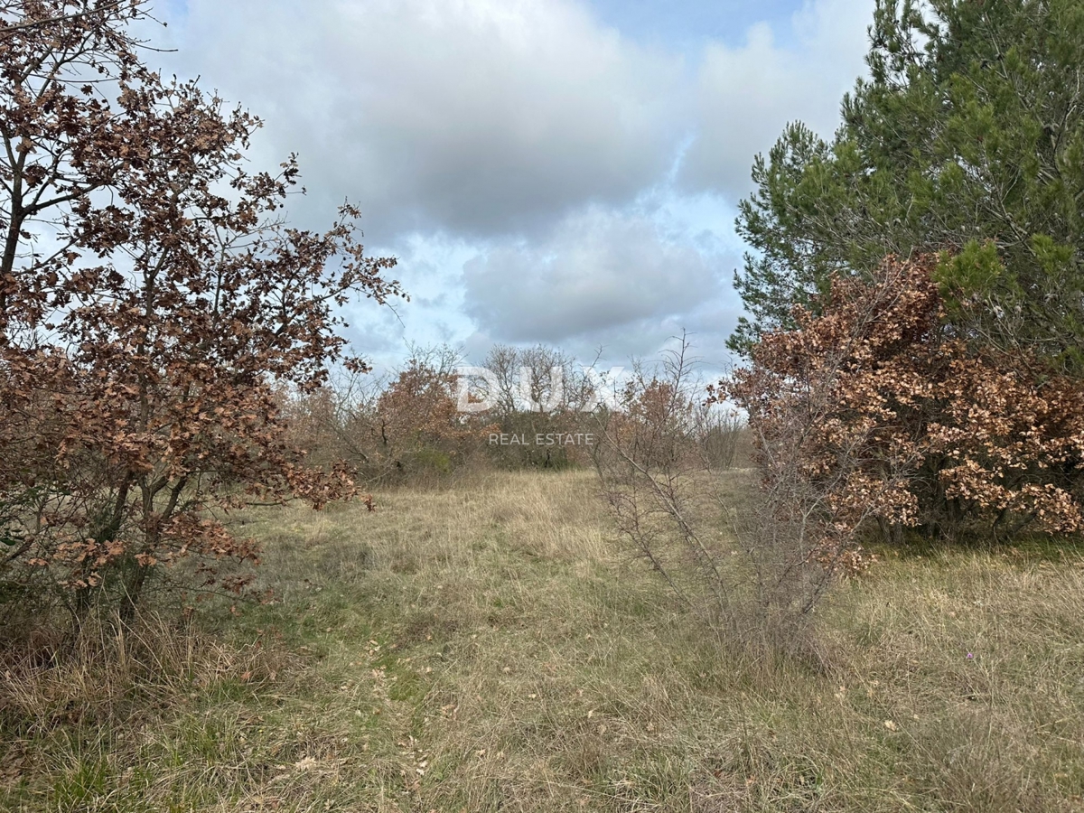 Zemljišče Štokovci, Svetvinčenat, 4.503m2