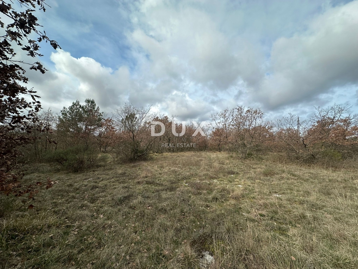 Zemljišče Štokovci, Svetvinčenat, 4.503m2