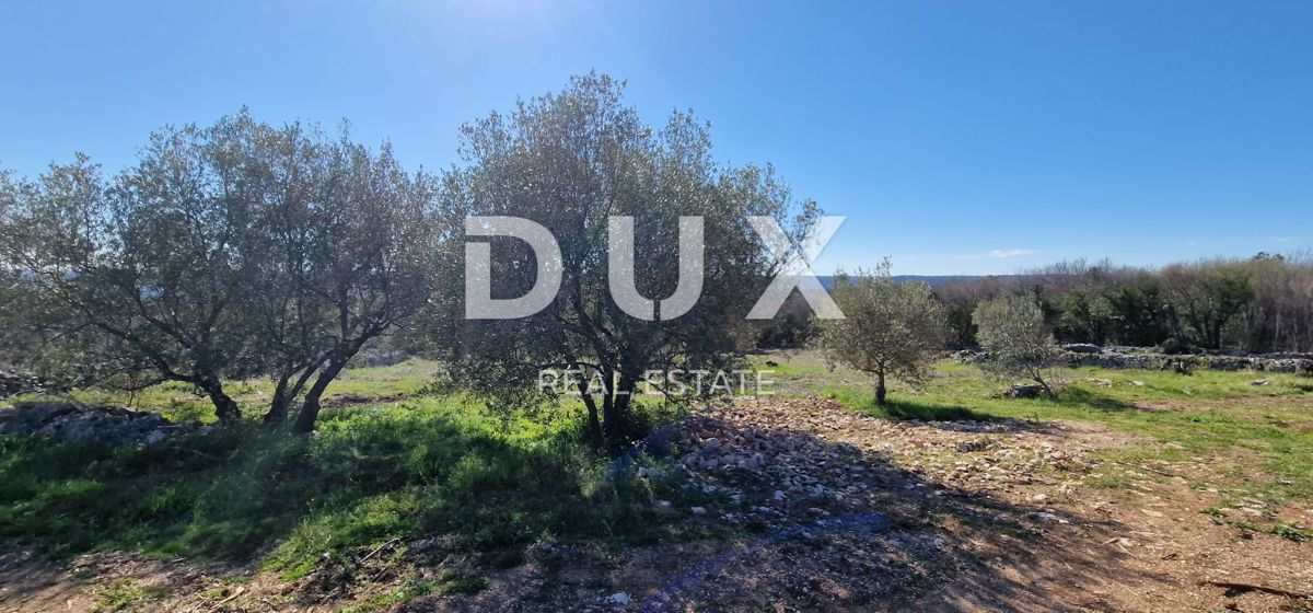 ISTRA, RABAC - Prostorno gradbeno zemljišče z gradbenim dovoljenjem - Pogled na morje!