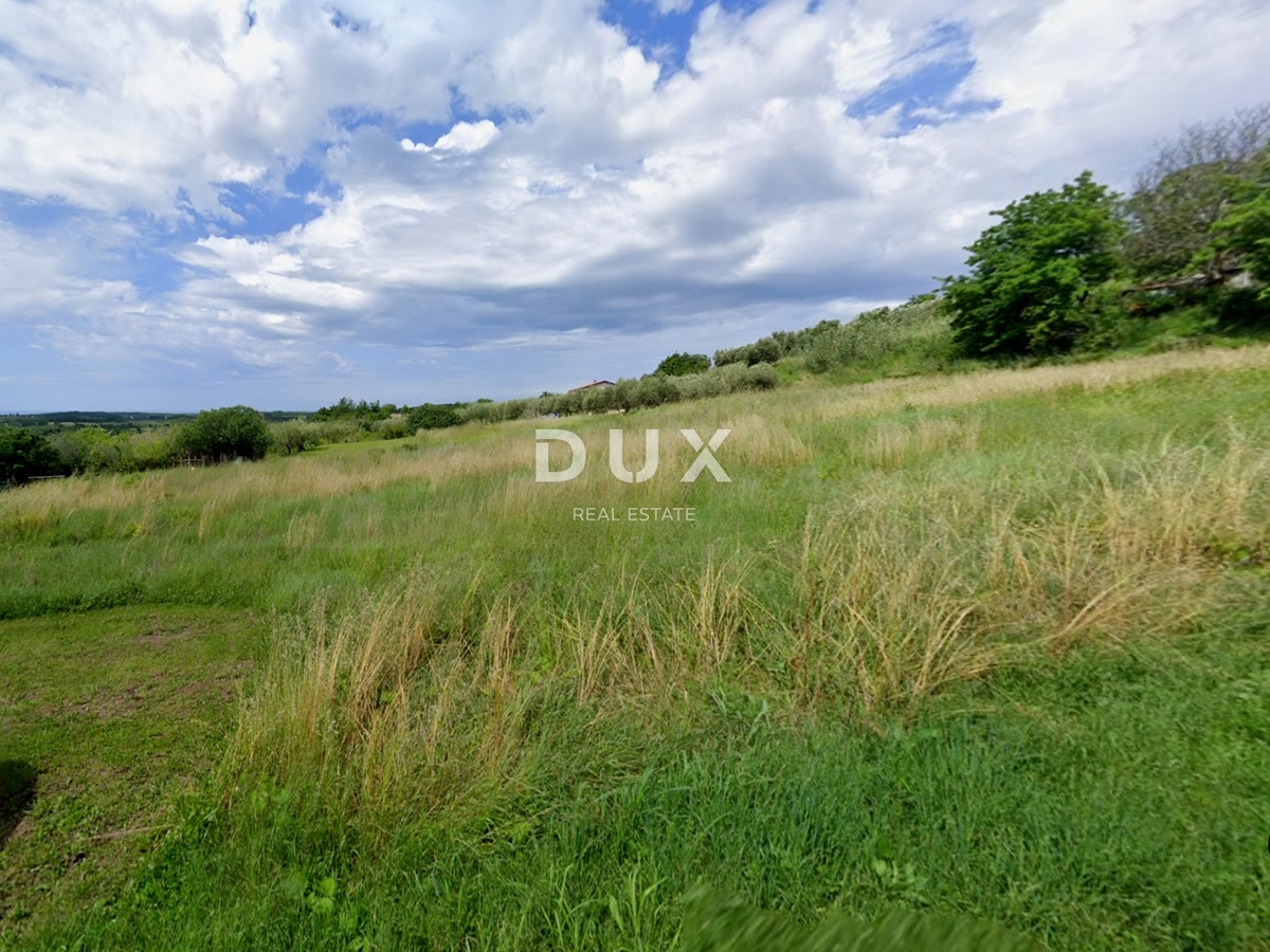 ISTRA, BUJE - Zemljišče z gradbenim dovoljenjem in panoramskim razgledom