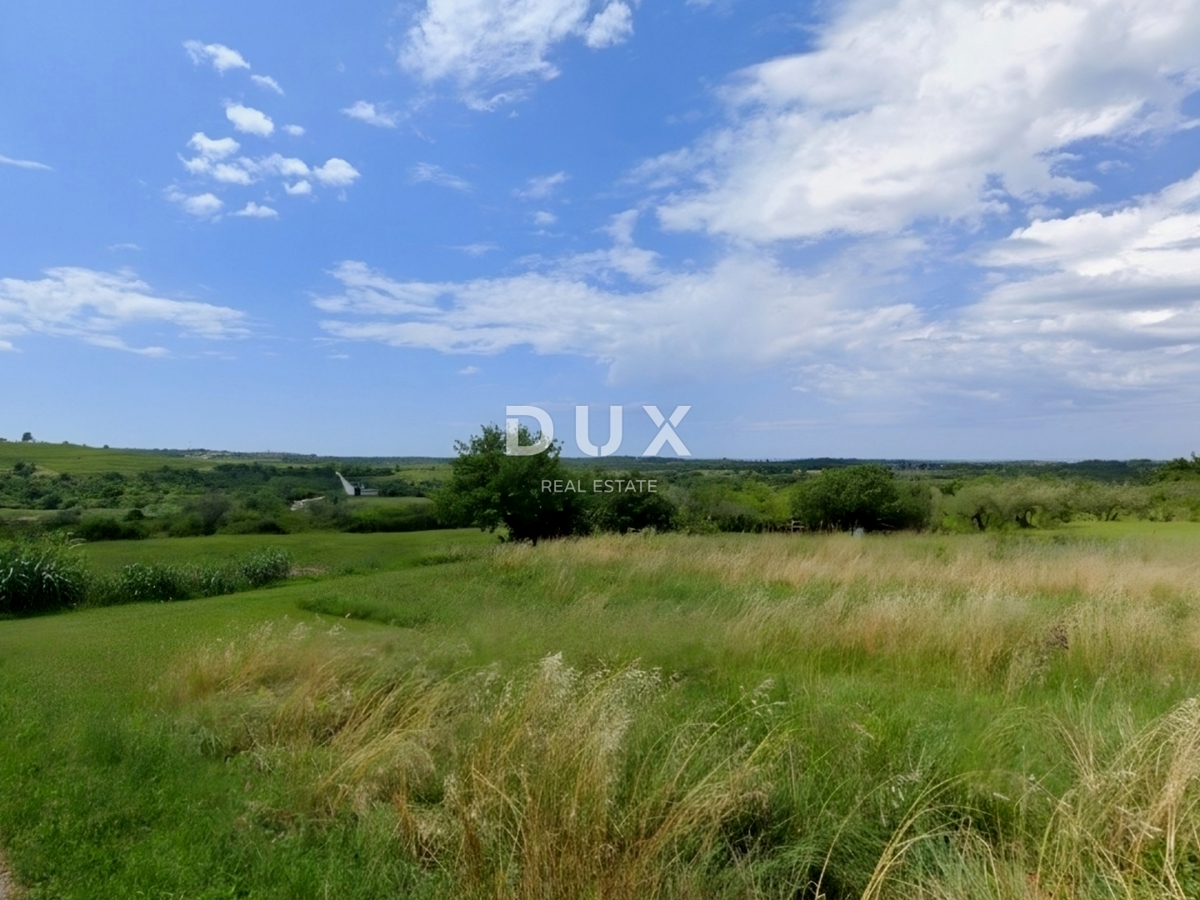 ISTRA, BUJE - Zemljišče z gradbenim dovoljenjem in panoramskim razgledom