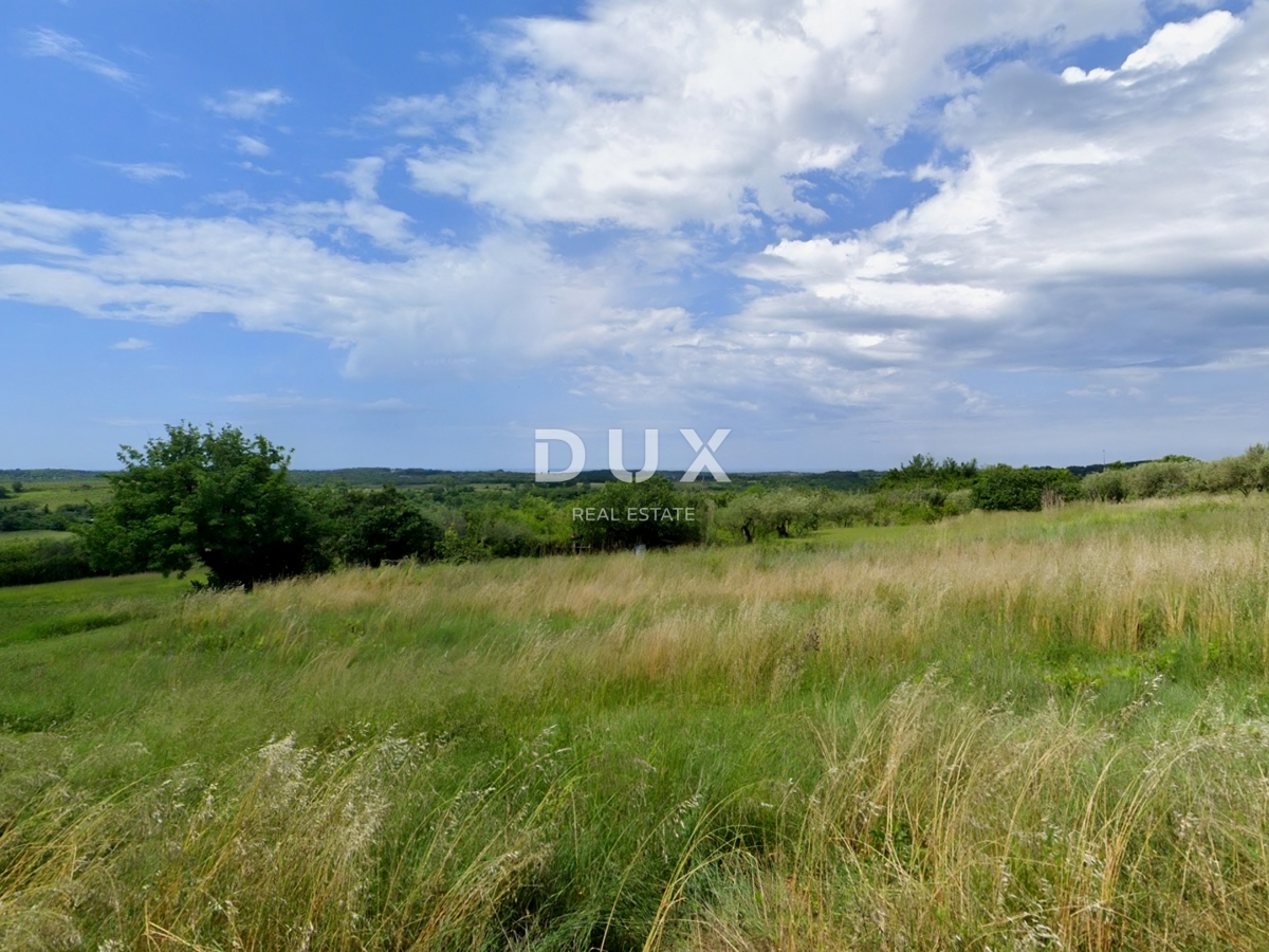 ISTRA, BUJE - Zemljišče z gradbenim dovoljenjem in panoramskim razgledom