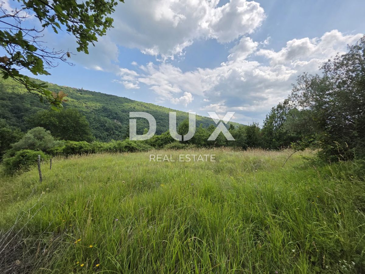 OSREDNJA ISTRA - *PRILOŽNOST* Popolno zatočišče v srcu Istre - pristna kamnita lepotica z novo dušo