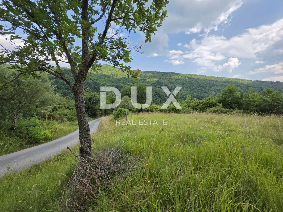 OSREDNJA ISTRA - *PRILOŽNOST* Popolno zatočišče v srcu Istre - pristna kamnita lepotica z novo dušo