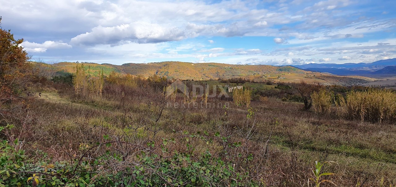 Grožnjan, 114.440m2