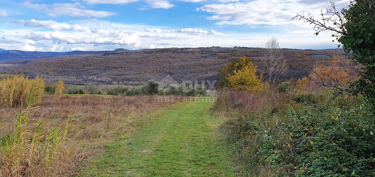 Grožnjan, 114.440m2