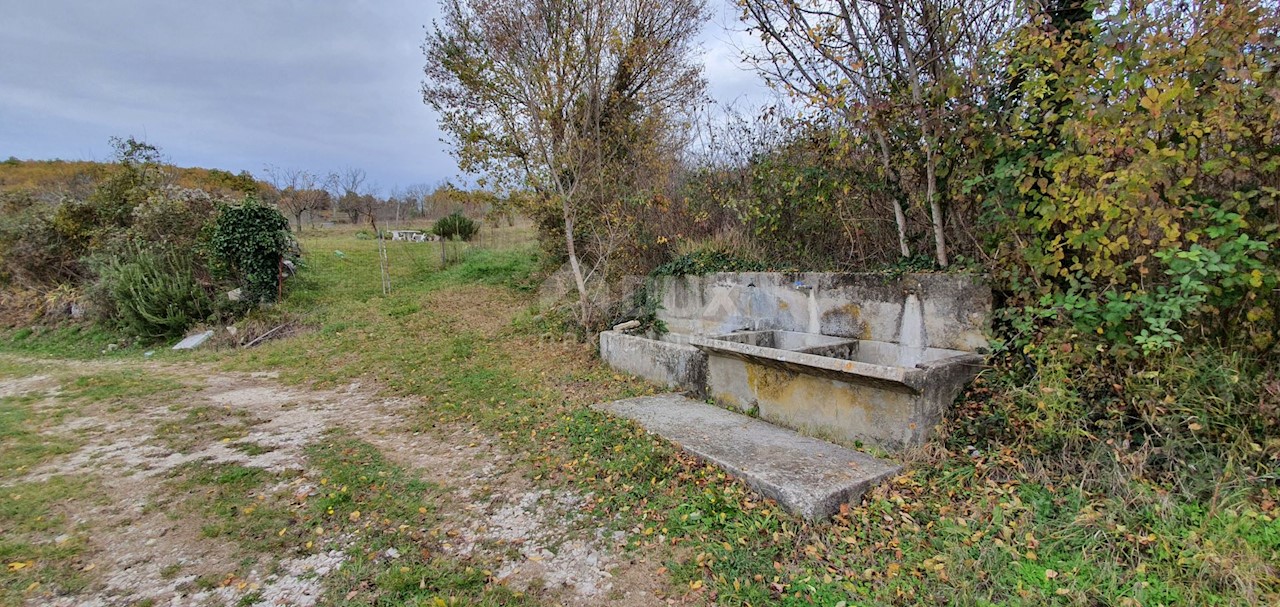 Grožnjan, 114.440m2