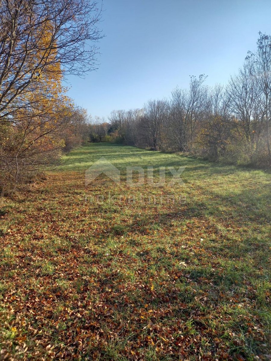 Kras, Dobrinj, 450m2