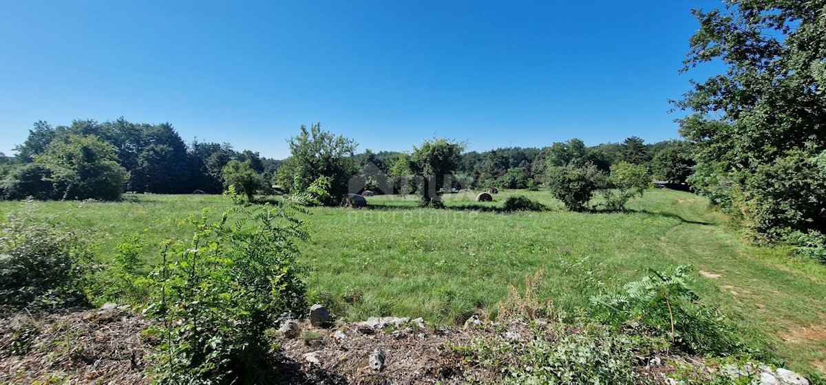 Lindar, Pazin - Okolica, 7.327m2