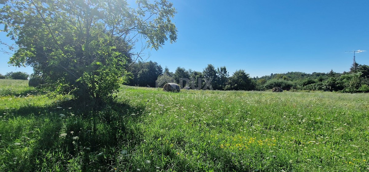 Lindar, Pazin - Okolica, 7.327m2