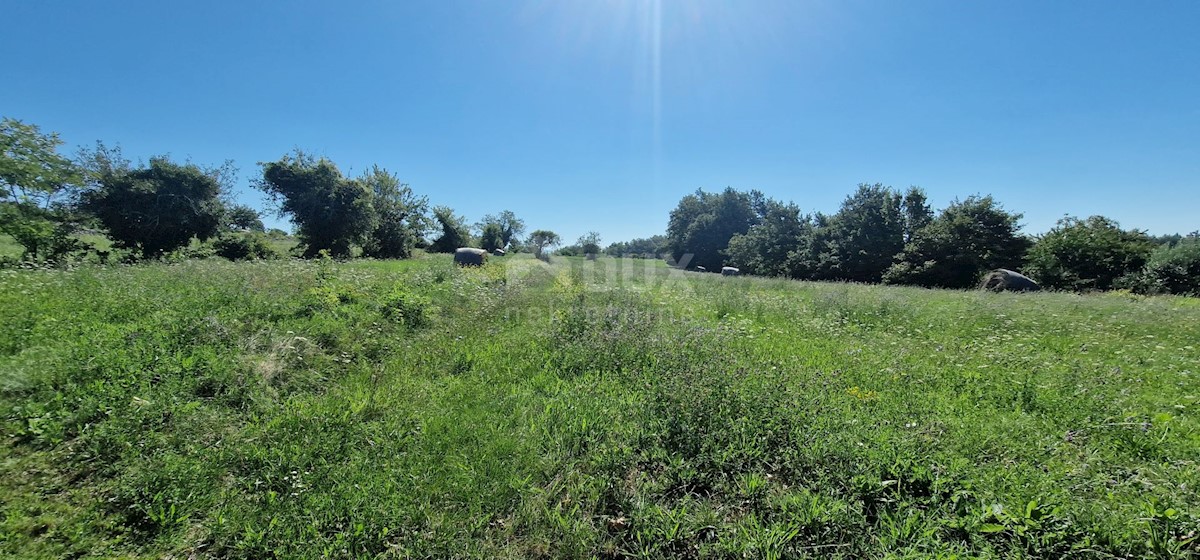 Lindar, Pazin - Okolica, 7.327m2