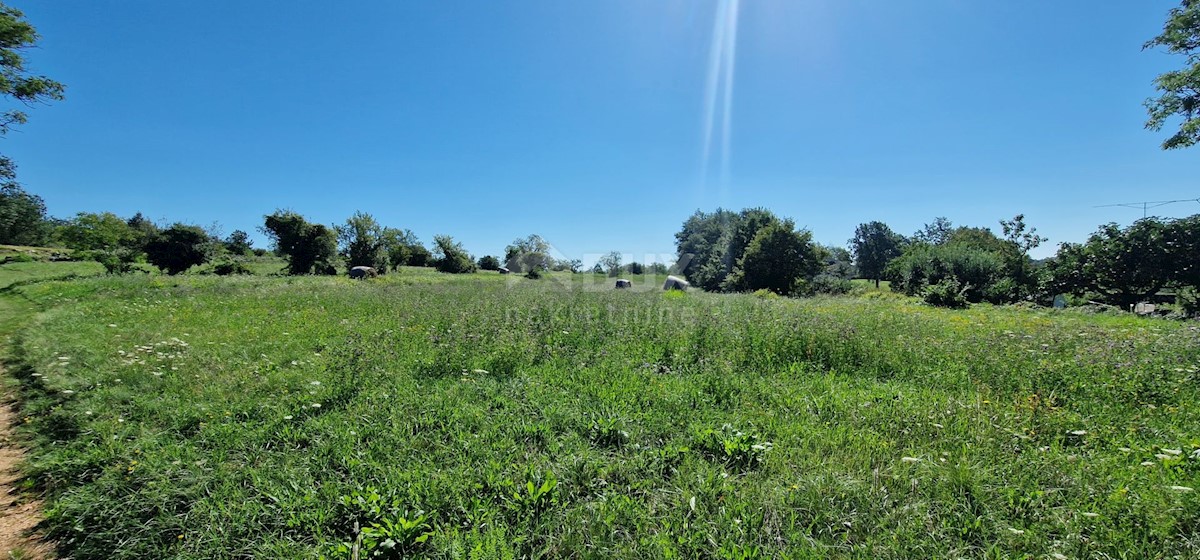 Lindar, Pazin - Okolica, 7.327m2