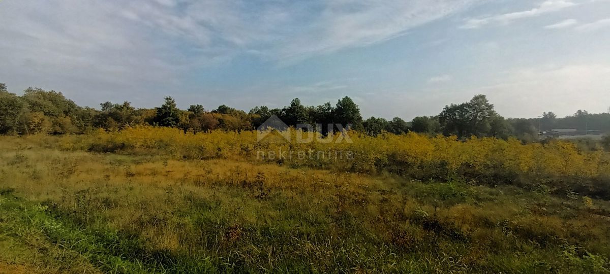 ISTRA, TAR - Atraktivno zemljišče gostinsko turistične namene