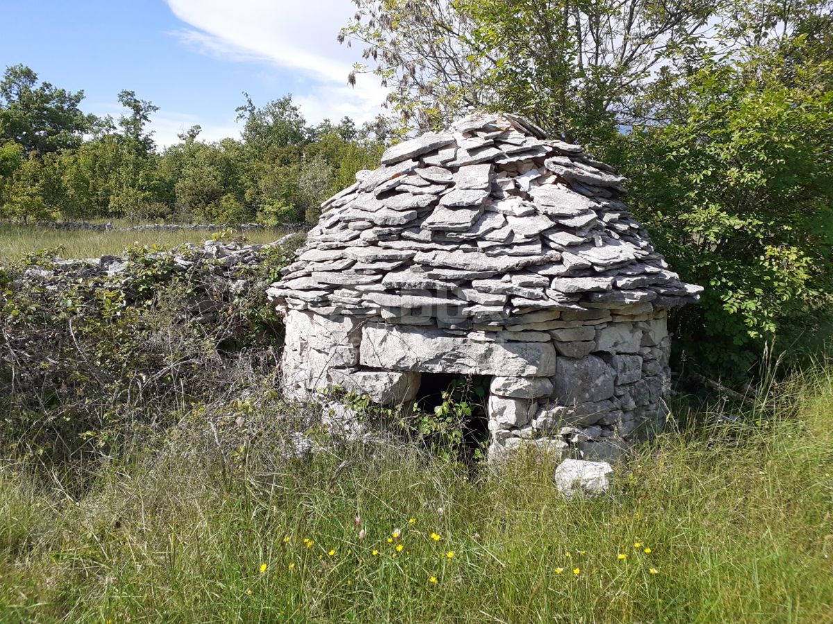 Režanci, Svetvinčenat, 24.600m2