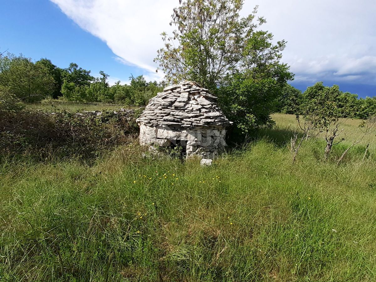 Režanci, Svetvinčenat, 24.600m2